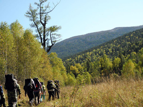 pictures: image_1